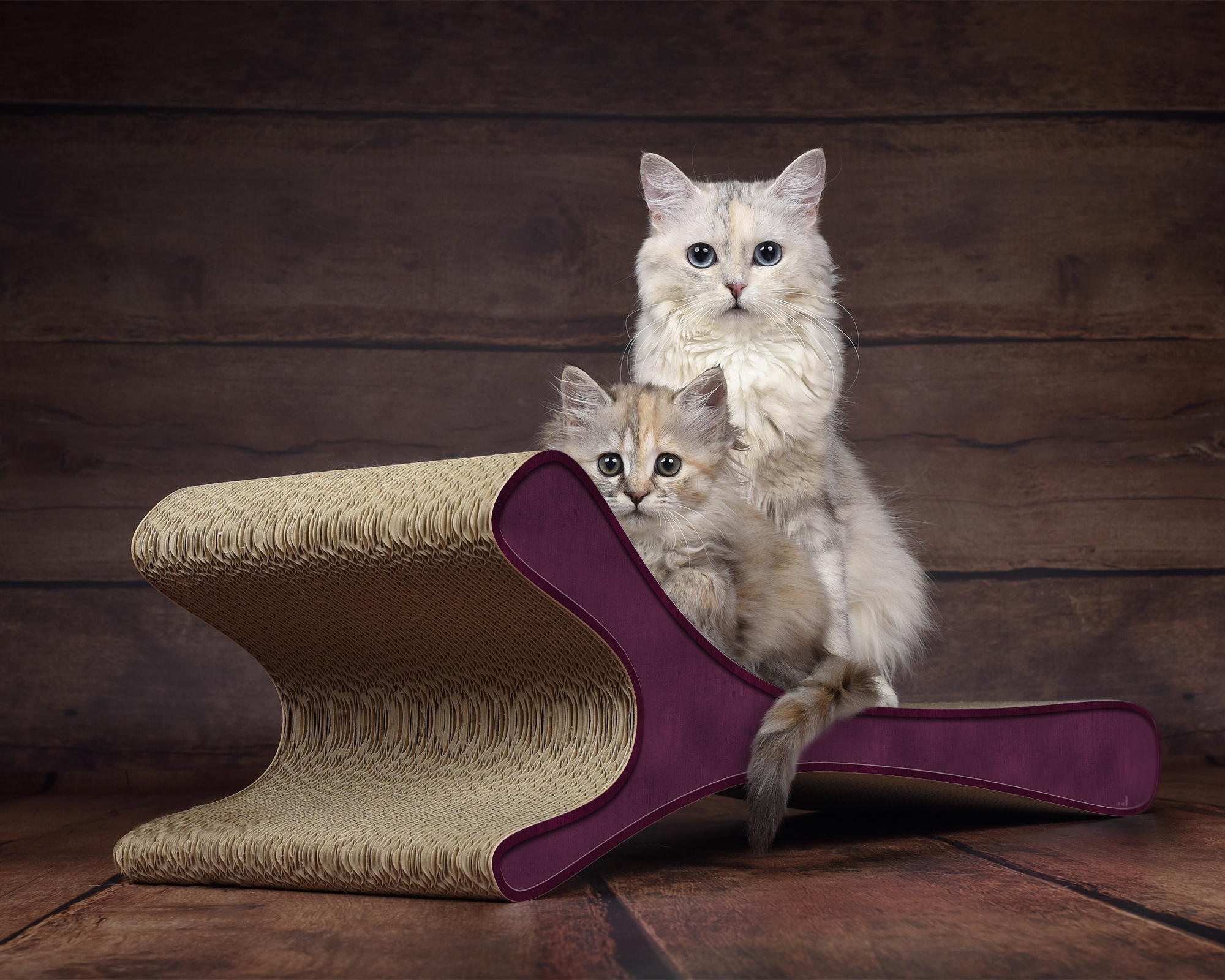 Das FELINE XL Katzensofa in Violett – hochwertiges Katzenmöbel und Liegefläche aus Kratzpappe, handgefertigt in Deutschland