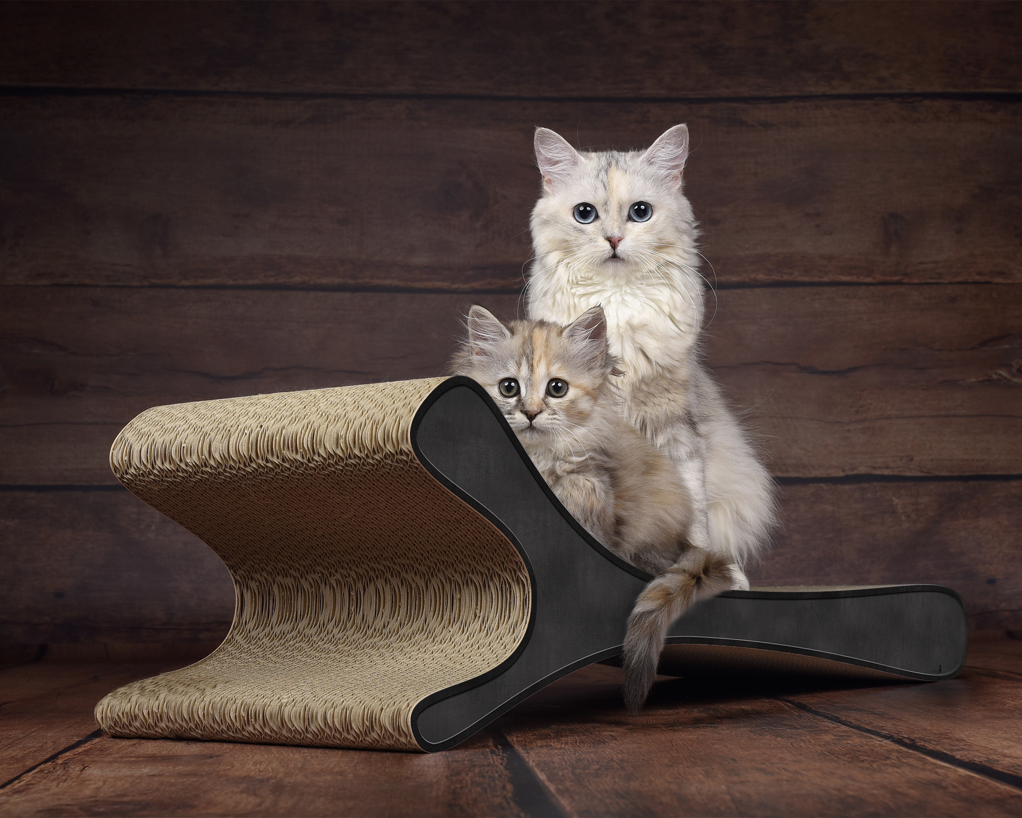 Modell FELINE XL in Unbekannt – stilvolle Katzenliege aus nachhaltiger Kratzpappe, Made in Germany