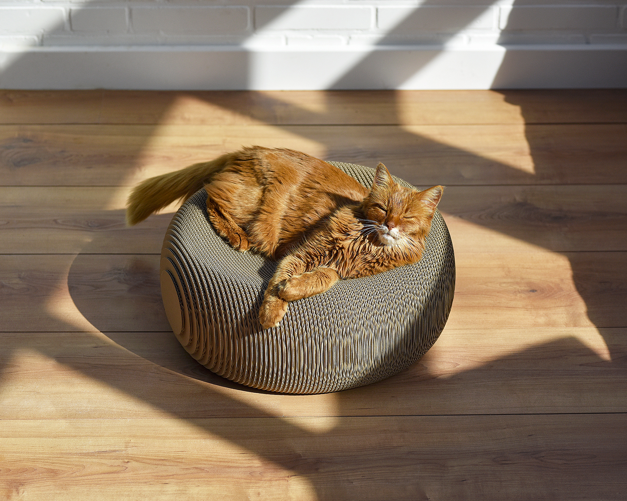 Deisgn Katzenmöbel LE PLOUFF - Kratzmöebl Made in Germany Rundes Katzenmöbel aus fsc-zertifizierter Wellpappe - 100 % Handmade in Germany