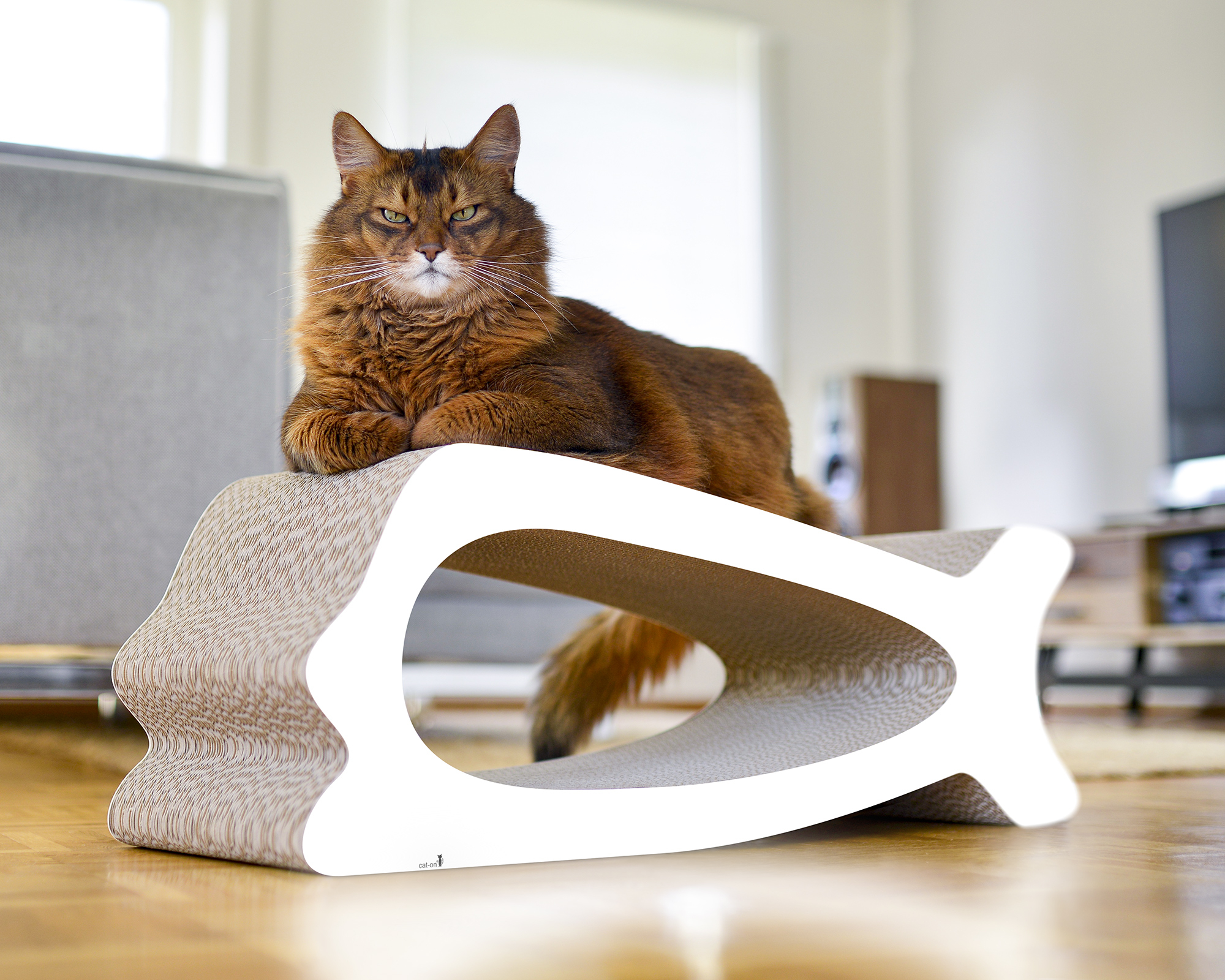LA BALEINE – Designer Cat Scratcher