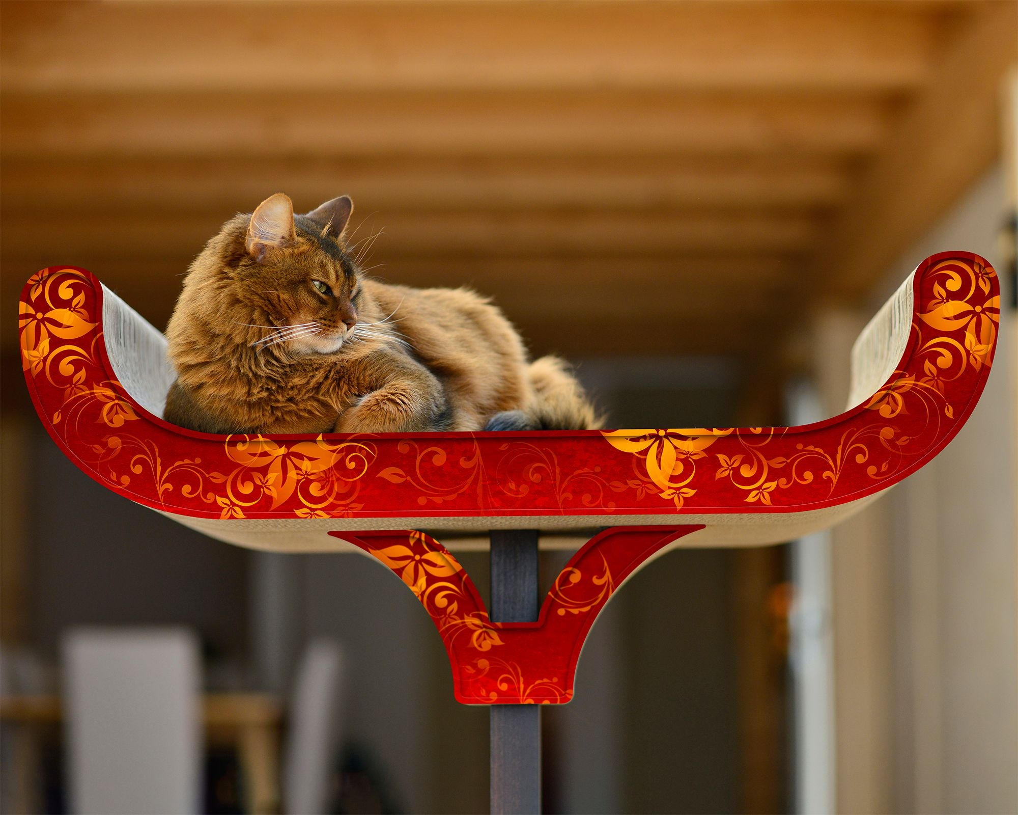 Katze liegt und spielt auf dem Design Kratzbaum Corbeille – exklusiver Kratzbaum aus Holz und Wellpappe, stilvolles Katzenmöbel