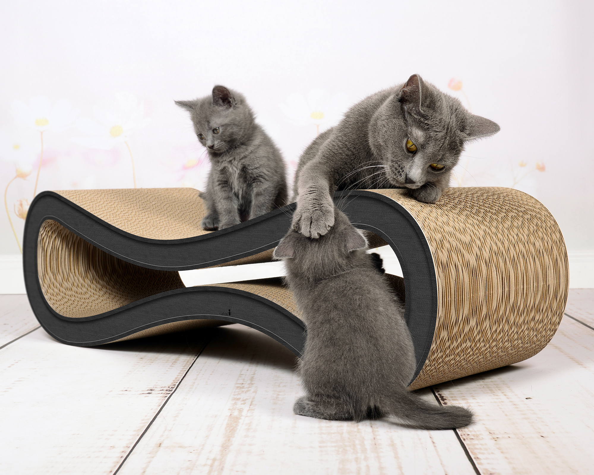 several cats playing and scratching on the cat-on design scratcher CAT RACER dark