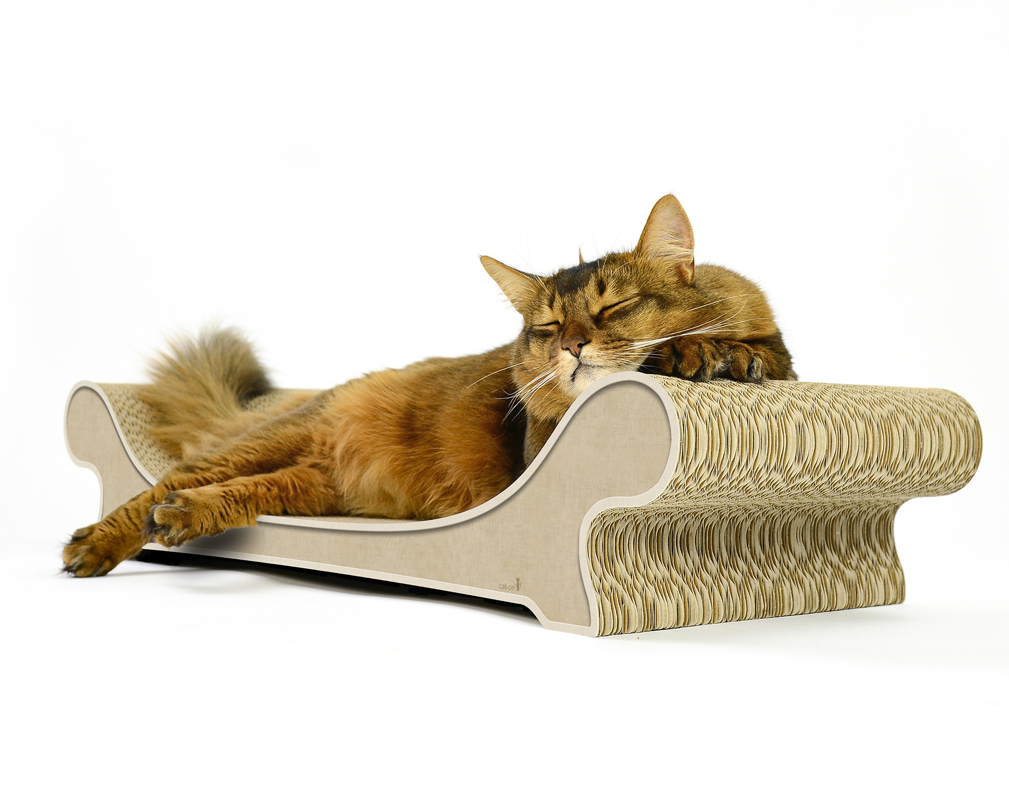 Katze spielt auf dem Katzensofa LE CANAPÉ PLUS von cat-on in Helles Beige – handgefertigtes Katzenmöbel aus Wellpappe.