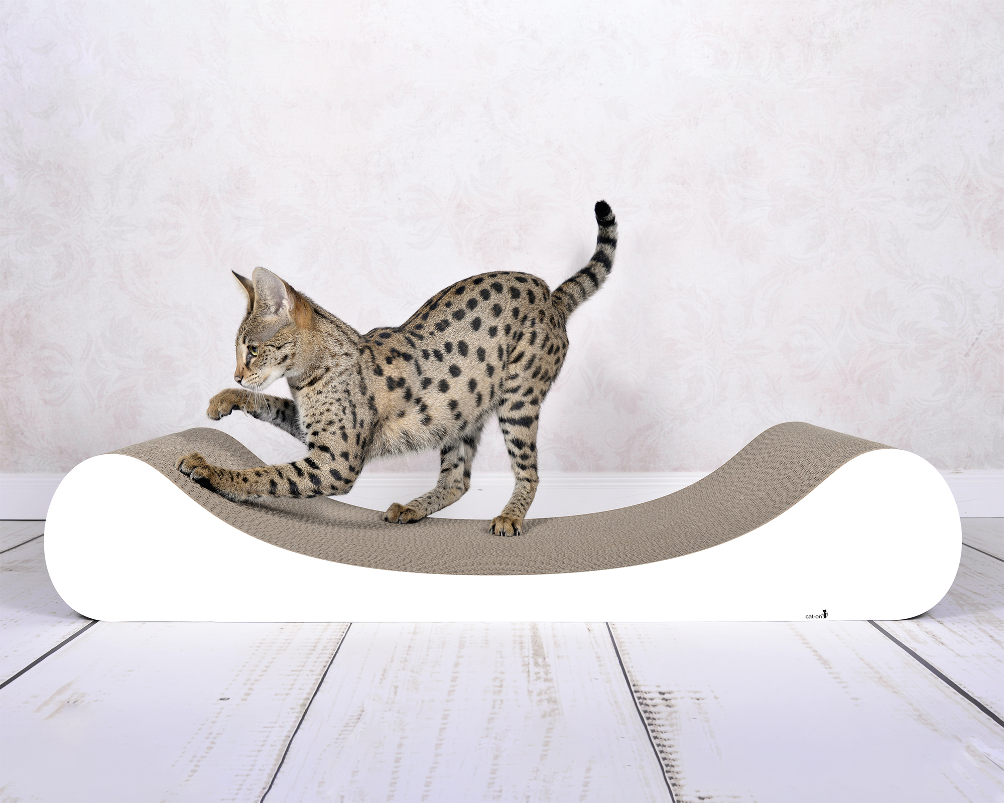 Design Katzensofa LE DIVAN aus Wellpappe Krallenpflege auf dem Kratzmöbel & Katzensofa LE DIVAN aus Wellpappe