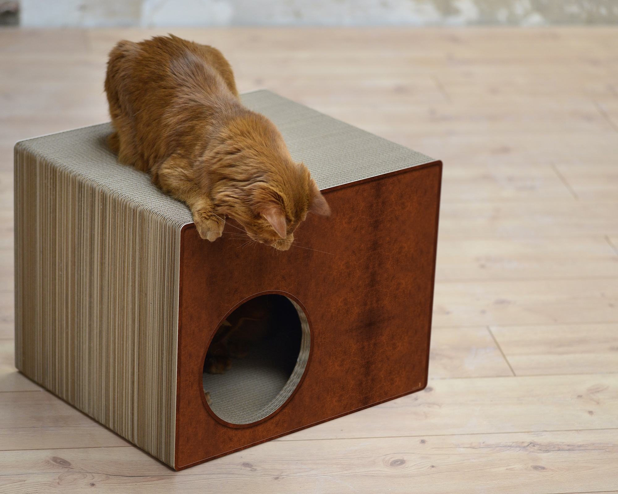 PHREDIA Eckhaus von cat-on, eine Katze oben liegend, eine Katze innen