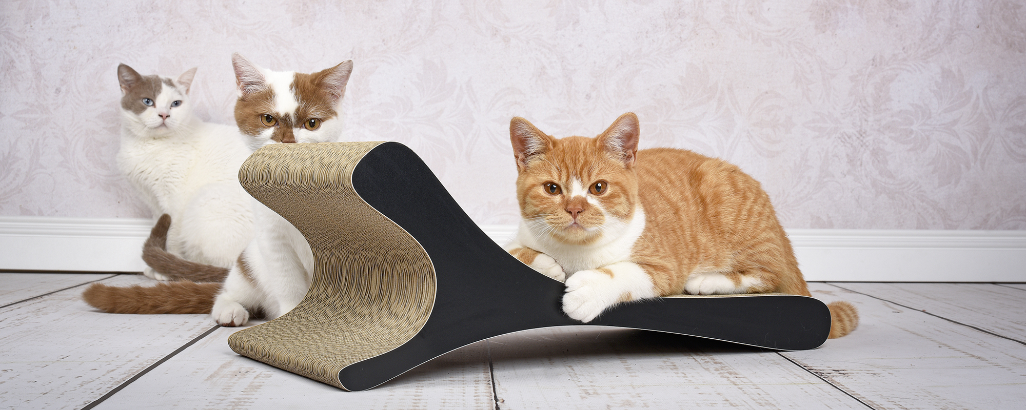 FELINE Cat Scratcher
