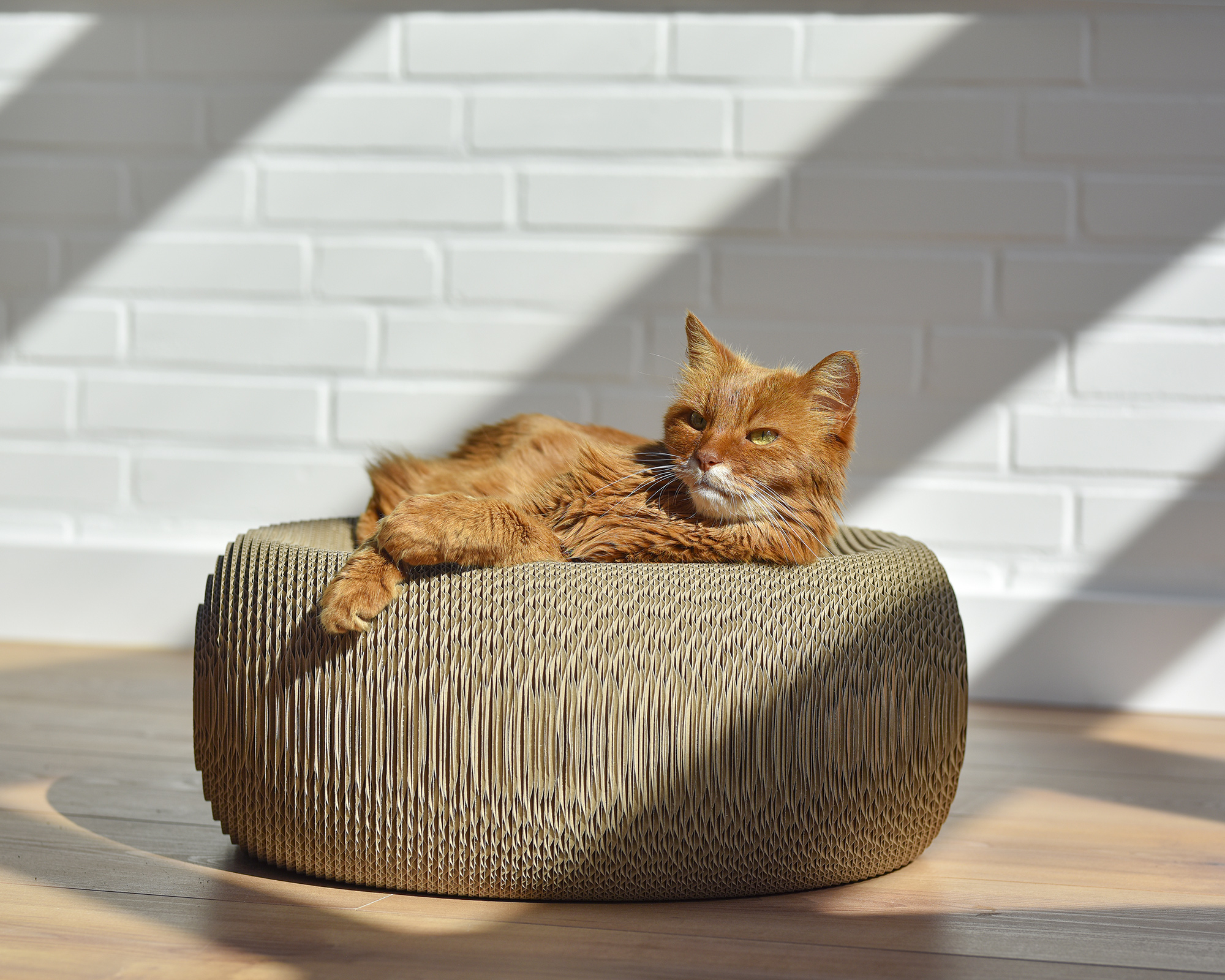 Rundes Design Katzenmöbel LE PLOUFF aus Kratzpappe Eine Katze liegt entspannt auf dem Le Plouff Katzenkorb aus langlebiger Kratzpappe – modernes Katzenmöbel, nachhaltig und robust.