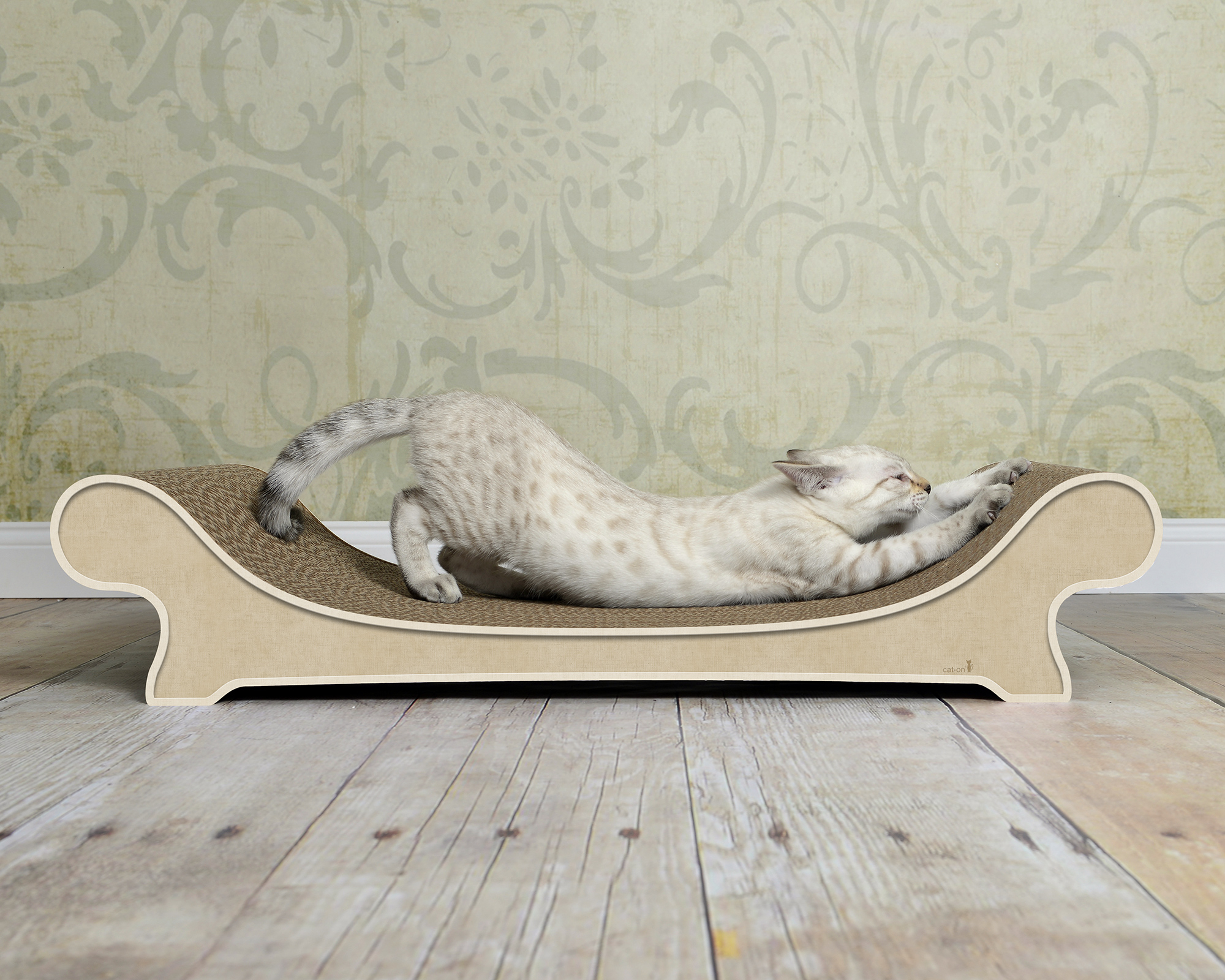 Cat-on LE CANAPÉ PLUS: Katze relaxt auf dem eleganten Katzensofa in Wellpappe Deutscher Hersteller, nachhaltig und robust.