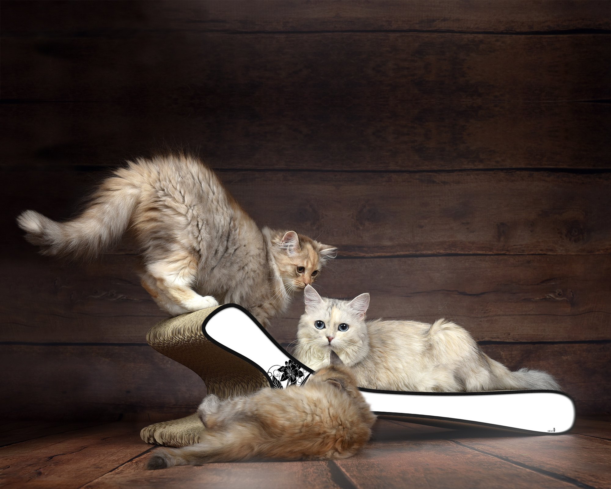 Das FELINE XL Katzensofa in Weiß – robustes und modernes Kratzmöbel aus Wellpappe, hergestellt in Berlin