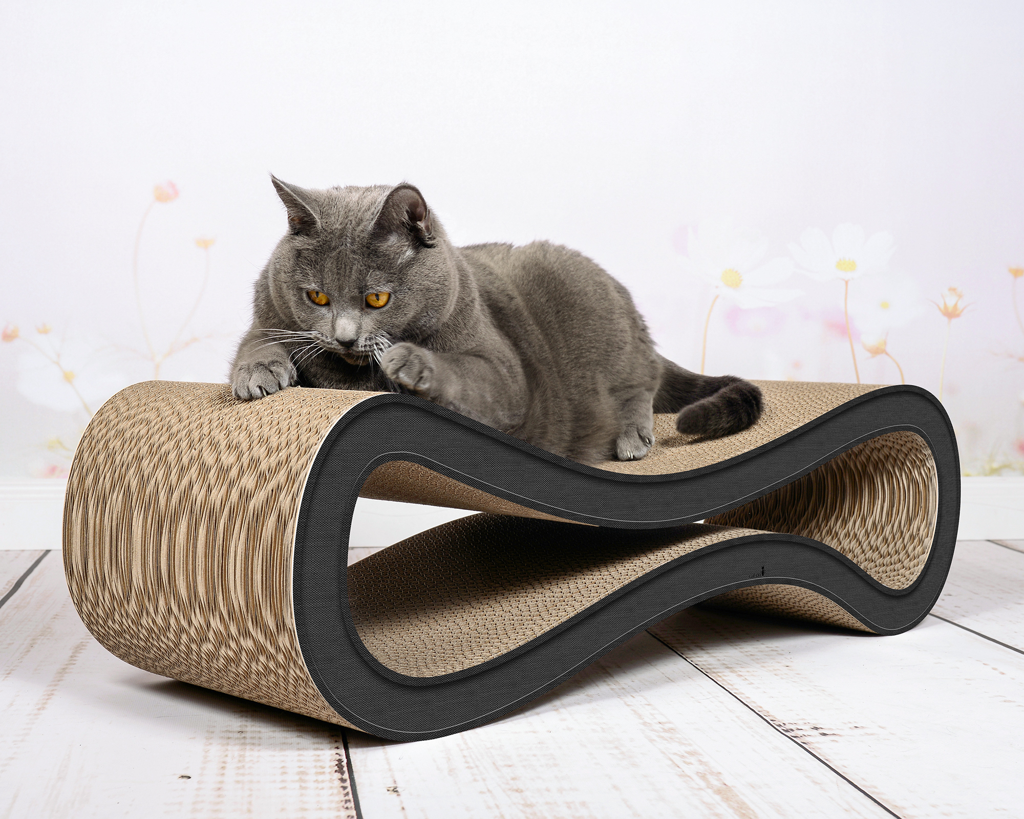 Cat playing on the cat-on design scratcher CAT RACER M