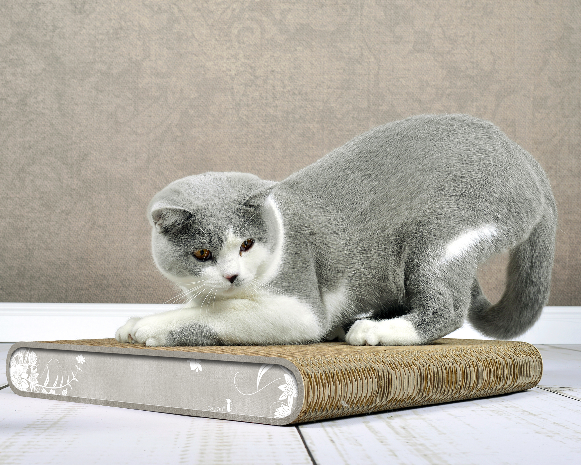 La Planche 019 – kompaktes Kratzbrett aus stabiler Wellpappe, ideal für Kitten und Katzen.