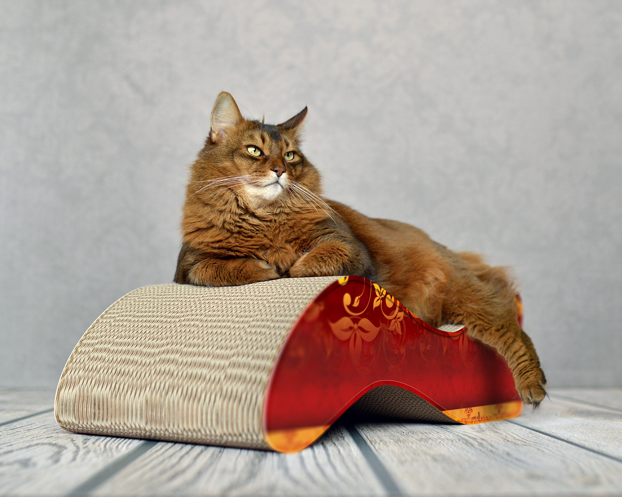 Große Katze auf KABOU XL– modernes Design-Kratzmöbel in Wellenform für große Katzen aus Kratzpappe