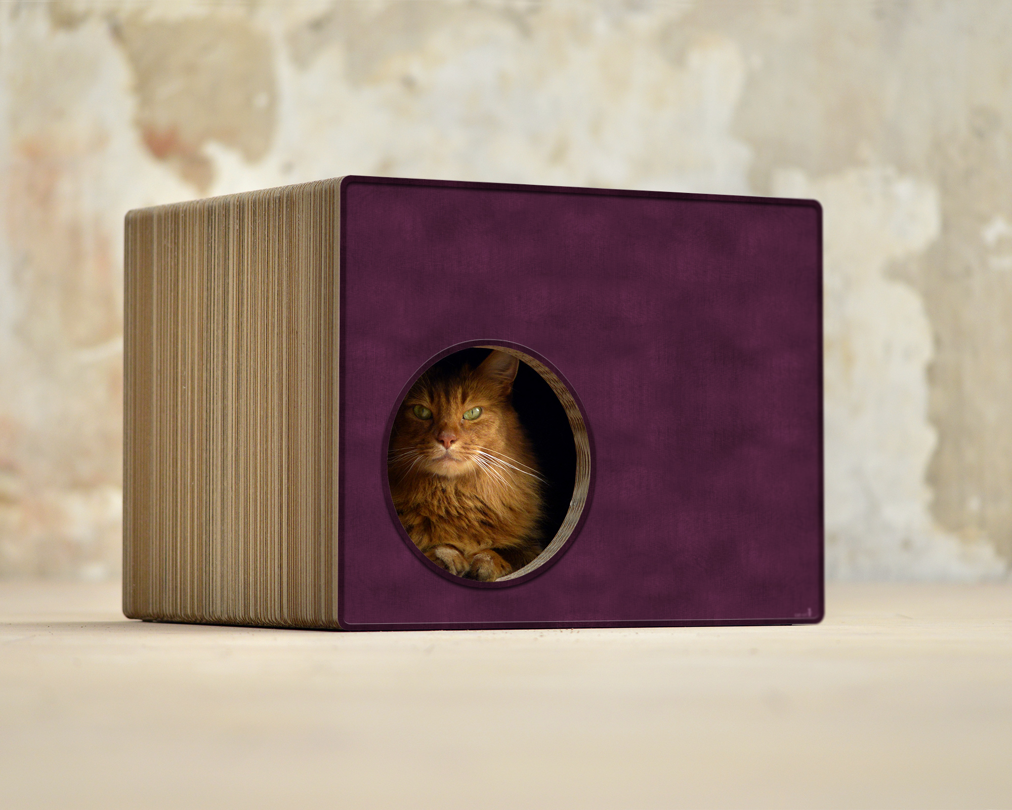 PHREDIA Eckhaus von cat-on, Katze im Inneren des Design-Kratzmöbels aus Wellpappe