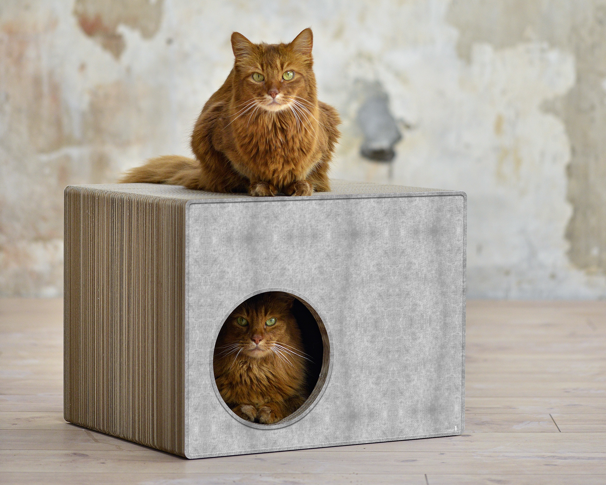 PHREDIA Eckhaus von cat-on, eine Katze oben liegend, eine Katze innen