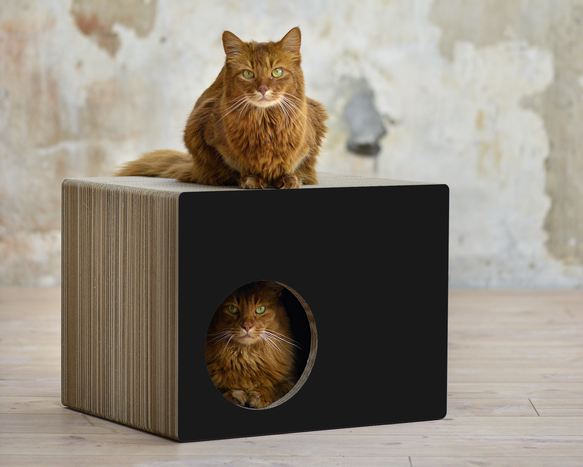 PHREDIA Eckhaus von cat-on, eine Katze oben liegend, eine Katze innen