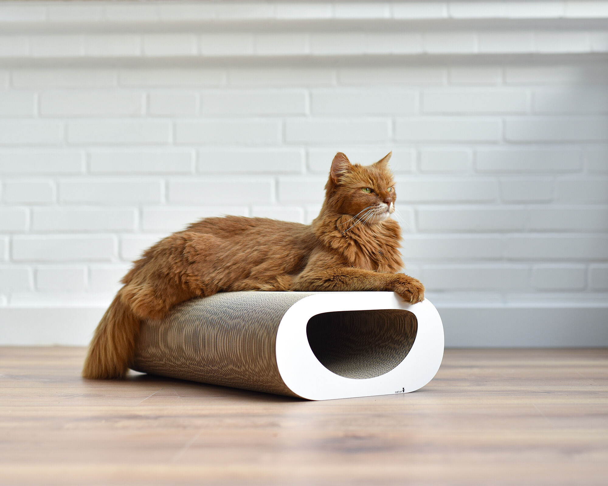 Chat se détend sur LE TUNNEL – griffoir élégant en carton pour chat Un chat se détend sur LE TUNNEL – le griffoir moderne en carton ondulé durable, idéal pour se reposer, griffer et se sentir bien.