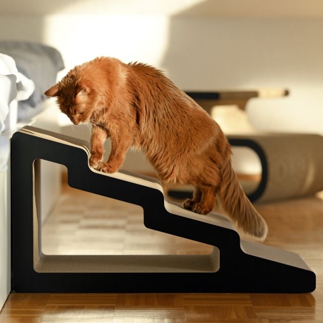 Cat stairs for safe climbing