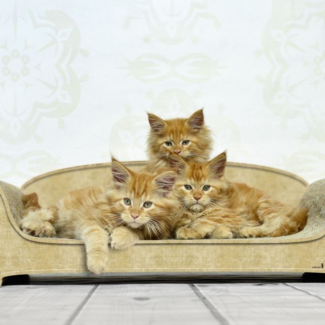 VERTIGE - le canapé griffoir élégant pour chats en carton écologique