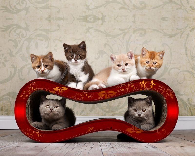 Katzenmöbel in allen Farben